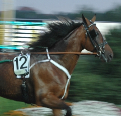 Quality Questioned 140730-2